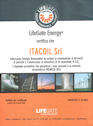 LIFEGATE
